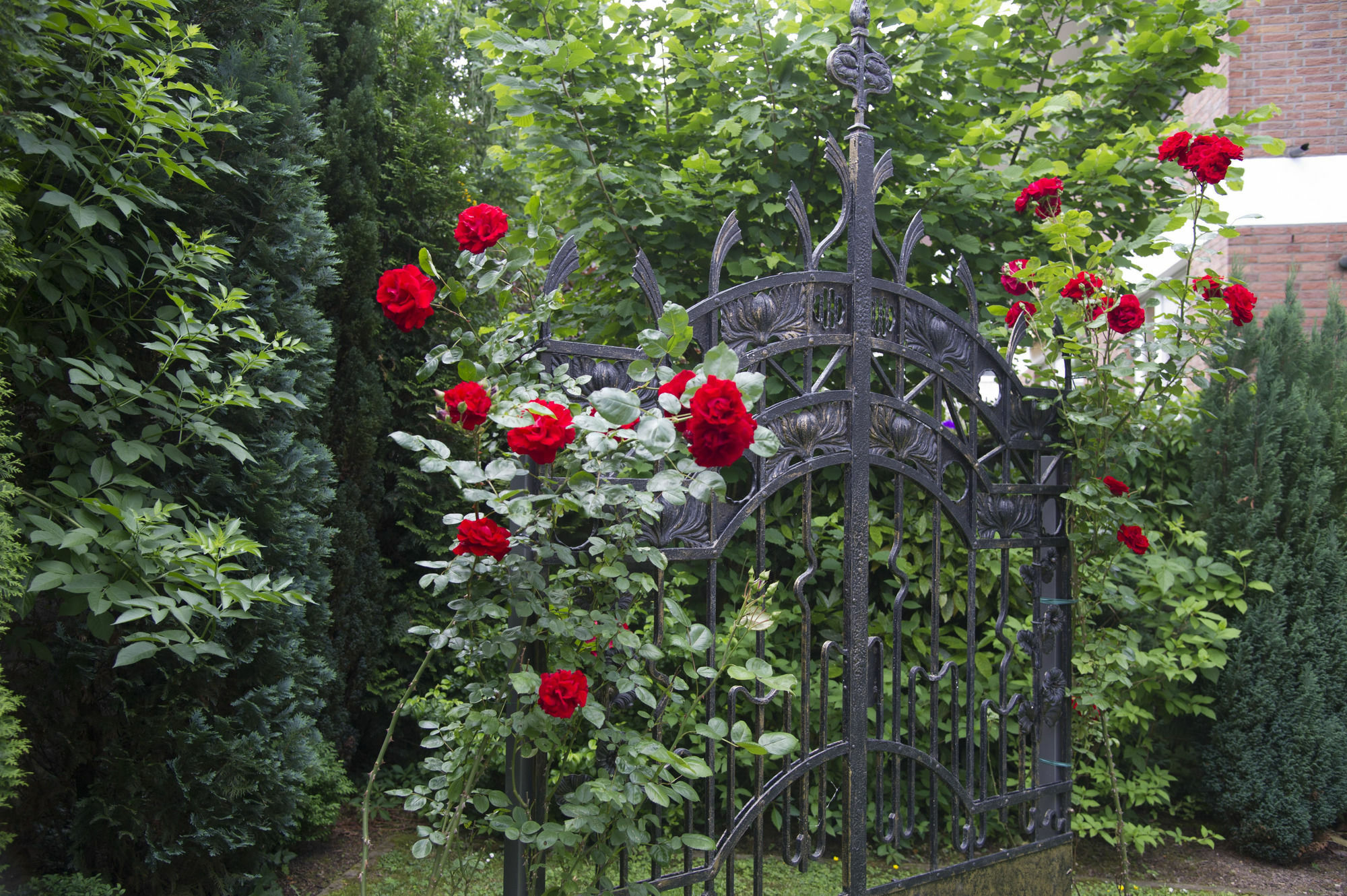 Boutiquehotel Dreesen - Villa Godesberg Бон Екстериор снимка